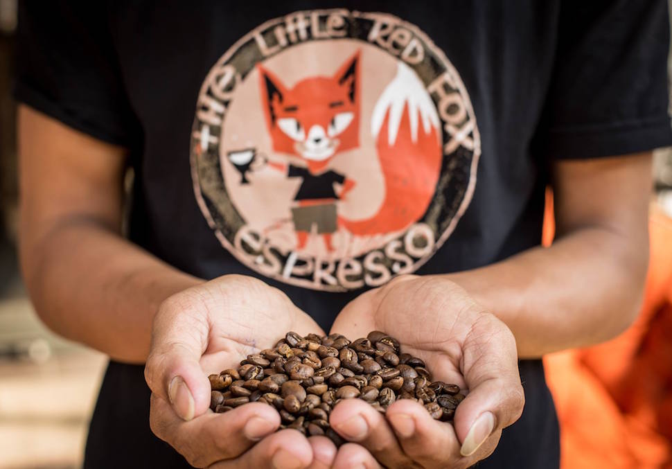 Little Red Fox Espresso 参考图 1